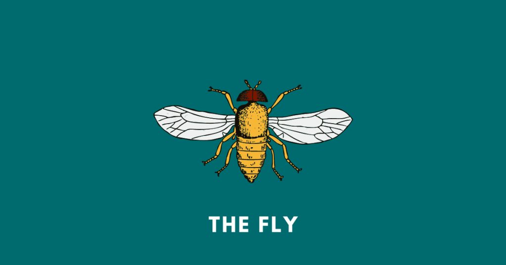 the fly