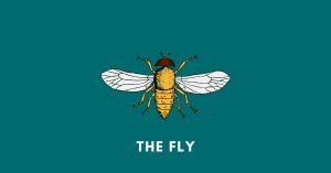 the fly