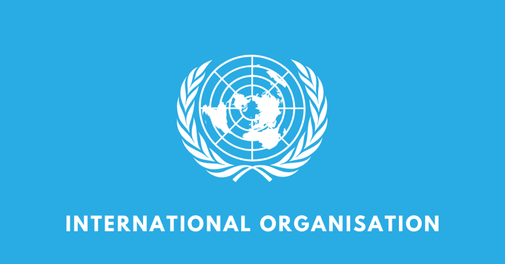 international organisation