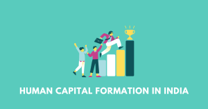 Human Capital Formation in India nbse 12