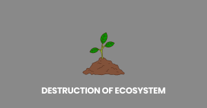 Destruction of Ecosystem nbse