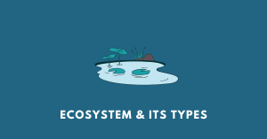 Ecosystem & its Types nbse