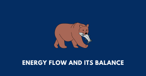 Energy Flow and its Balance nbse class 9