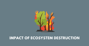 Impact of Ecosystem Destruction nbse