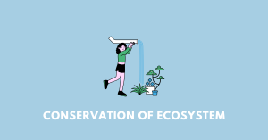 Conservation of Ecosystem nbse class 9