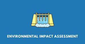Environmental Impact Assessment nbse