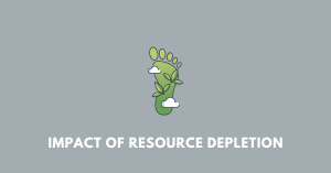 Impact of Resource Depletion nbse class 9