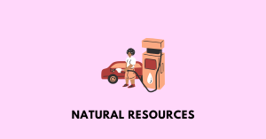 Natural Resource nbse class 9
