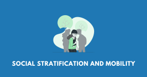 Social Stratification and Mobility nbse