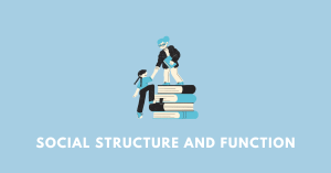 Social structure and function nbse