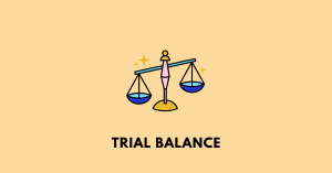 Trial Balance nbse class 9