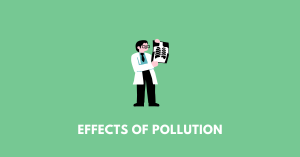 Effects of Pollution ICSE Class 9 Geography