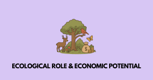 Ecological Role and Economic Potential of Biodiversity