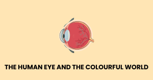 The Human Eye and the Colourful World