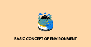Basic Concept of Environment AHSEC Class 11