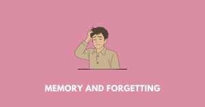 Memory and Forgetting nbse