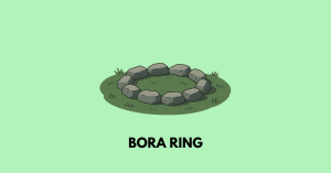 bora ring isc